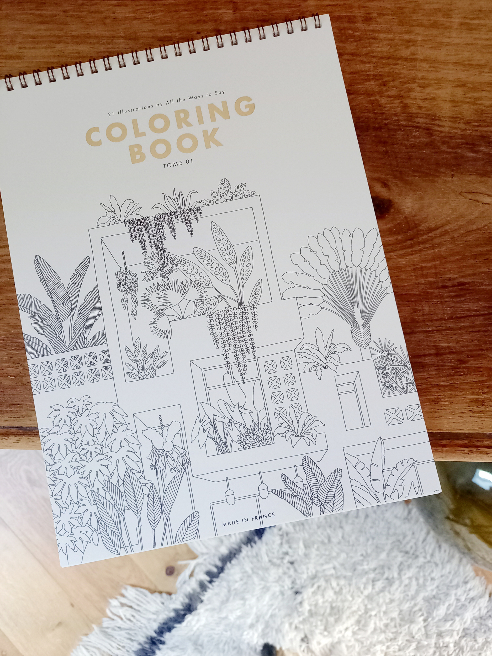 coloring-book-made-in-france