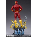 Statue DC Comics The Flash 46cm 1001 Figurines (8)