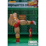 Figurine Ultra Street Fighter II The Final Challengers Zangief 19cm 1001 Figurines (5)