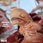 Figurine Alien MDS Deluxe Xenomorph 18cm 1001 Figurines (6)