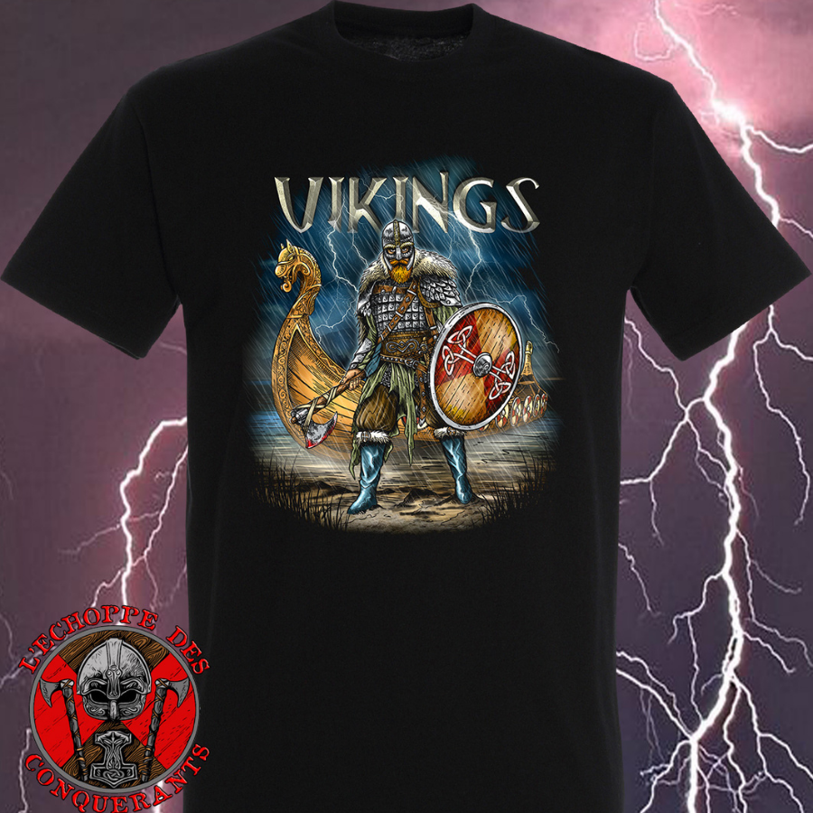 Viking et Drakkar 1