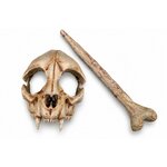 BROCHE MÉDIÉVALE CRÂNE ET OS