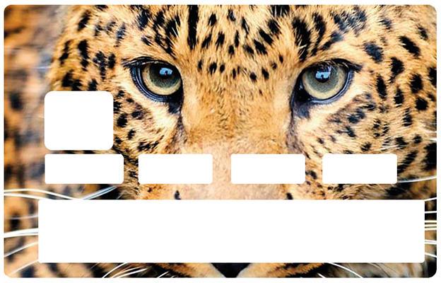 sticker-cb-yeux-leopard-the-little-sticker