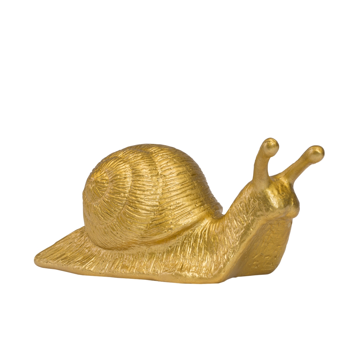 escargot-ottmar-horl-the-little-boutique-6