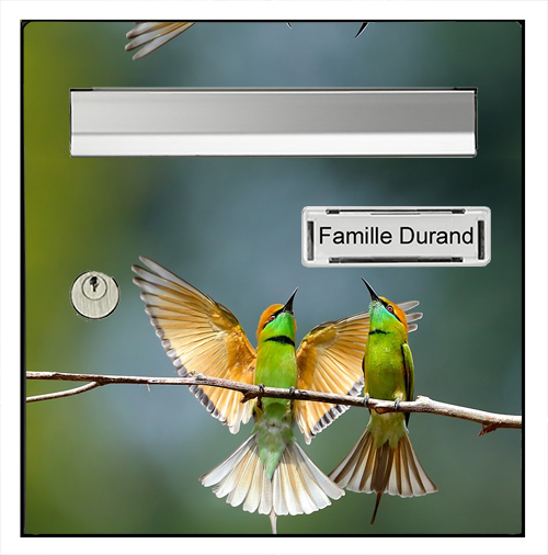 colibri-sticker-boite-aux-lettre-thelittleboutique