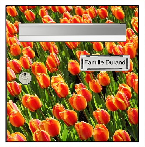 Sticker pour boîte aux lettres, Tulipes