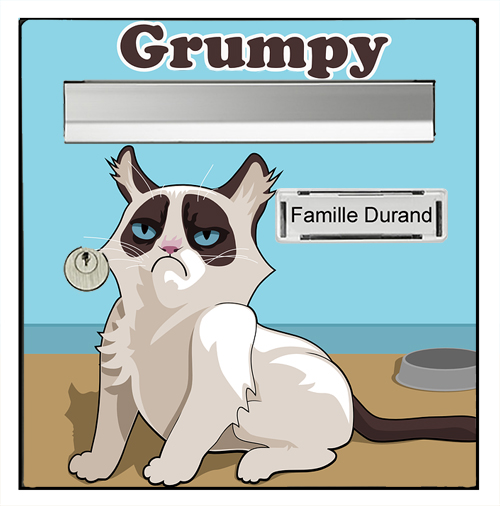grumpy-cat-sticker-boite-aux-lettre-thelittleboutique