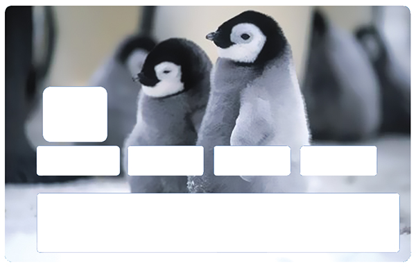 Autocollant pour carte bancaire, Sticker pour carte bancaire, Bébé pingouins