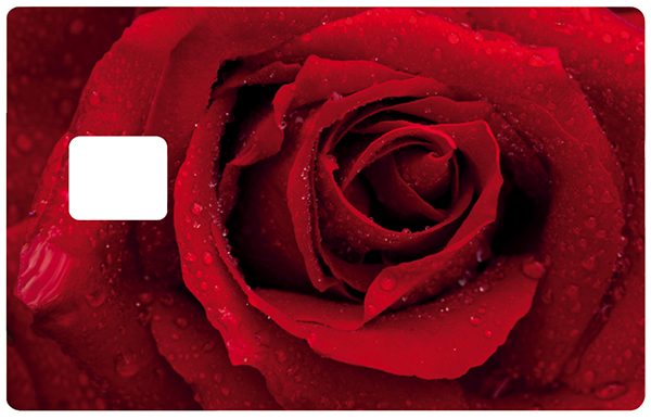 rose-red-the-little-boutique-credit-card-sticker-copie