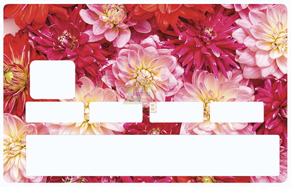 fleurs-rouges-1-the-little-boutique-sticker-carte-bancaire-stickercb