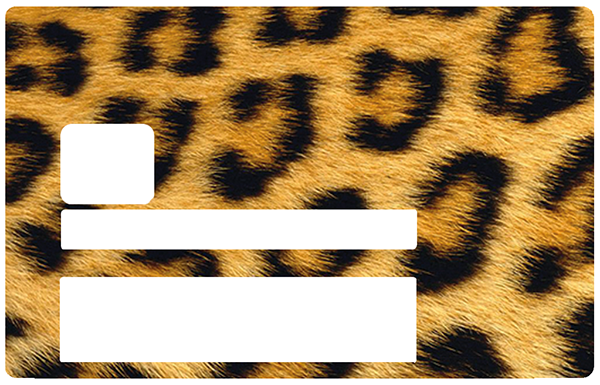 leopard-the-little-sticker