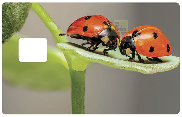 coccinelles-ladybug-stickercb-sticker-carte-bancaire-1