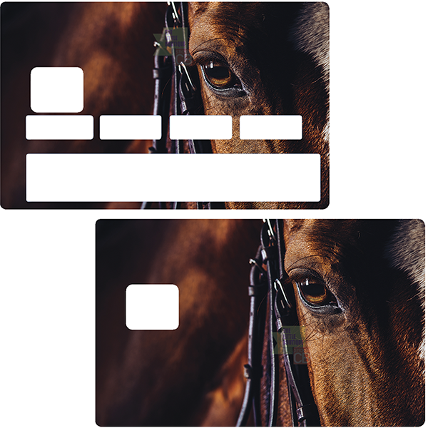 Sticker pour carte bancaire, Cheval - Stickers pour carte bancaire/Animaux  - The Little Boutique
