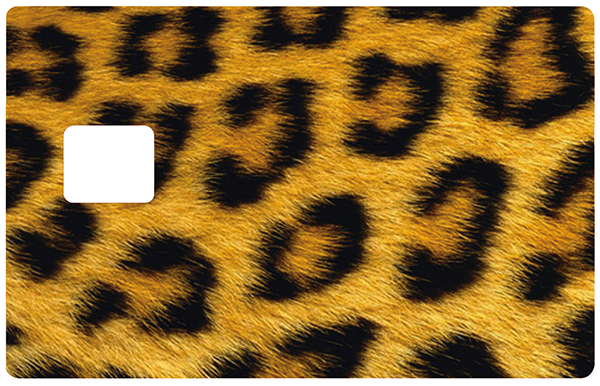LEOPARD-the-little-boutique-credit-card-sticker