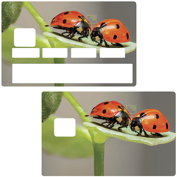 coccinelle-sticker-carte-bancaire-stickercb-1