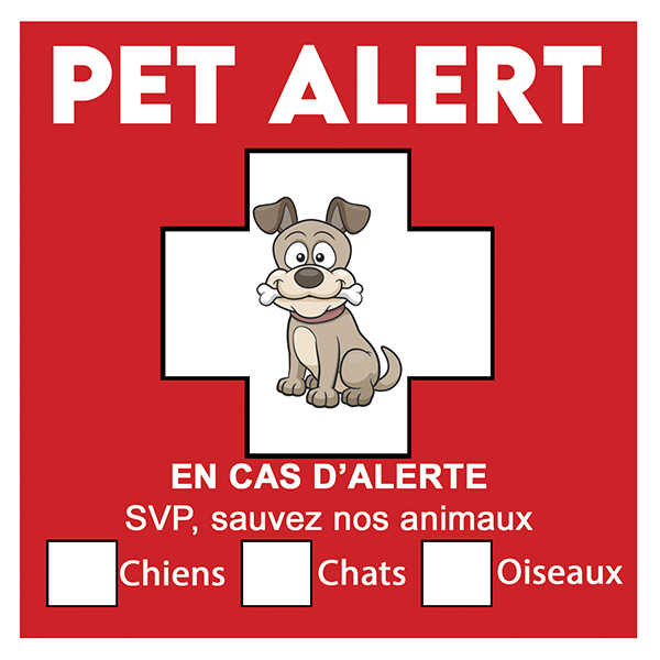 Autocollant ALERTE CHIEN - Pour Porte Ou Fenêtre - 10x10 Cm - Vinyle Résistant - Fabriqué En France - Garantie 2 Ans