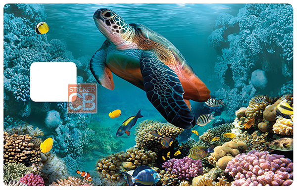 tortue-marine-the-little-boutique-sticker-carte-bancaire-stickercb-1