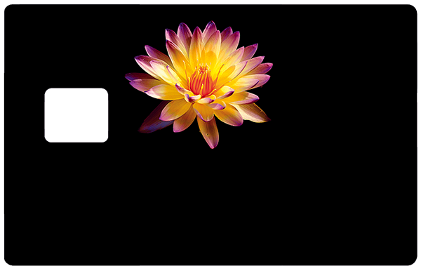 fleur-feux-artifice-noir-the-little-boutique-sticker-carte-bancaire-stickercb-1
