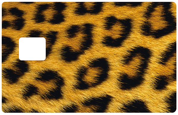 leopard-the-little-boutique-credit-card-sticker