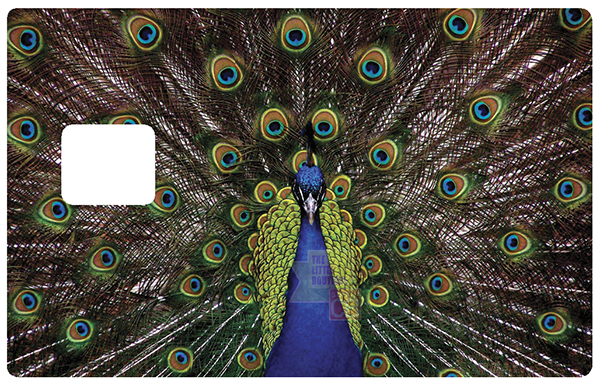 paon-peacock-stickercb-sticker-carte-bancaire-1