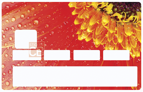 fleur-margeurite-rouge-sticker-autocollant-carte-bancaire-stickercb