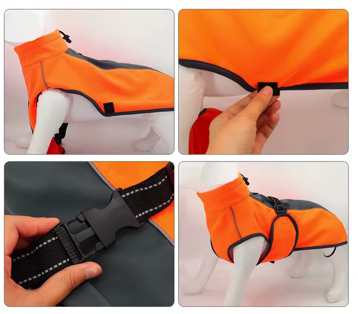 Manteau imperméable pour chiens – Orange_THELITTLEBOUTIQUE_2