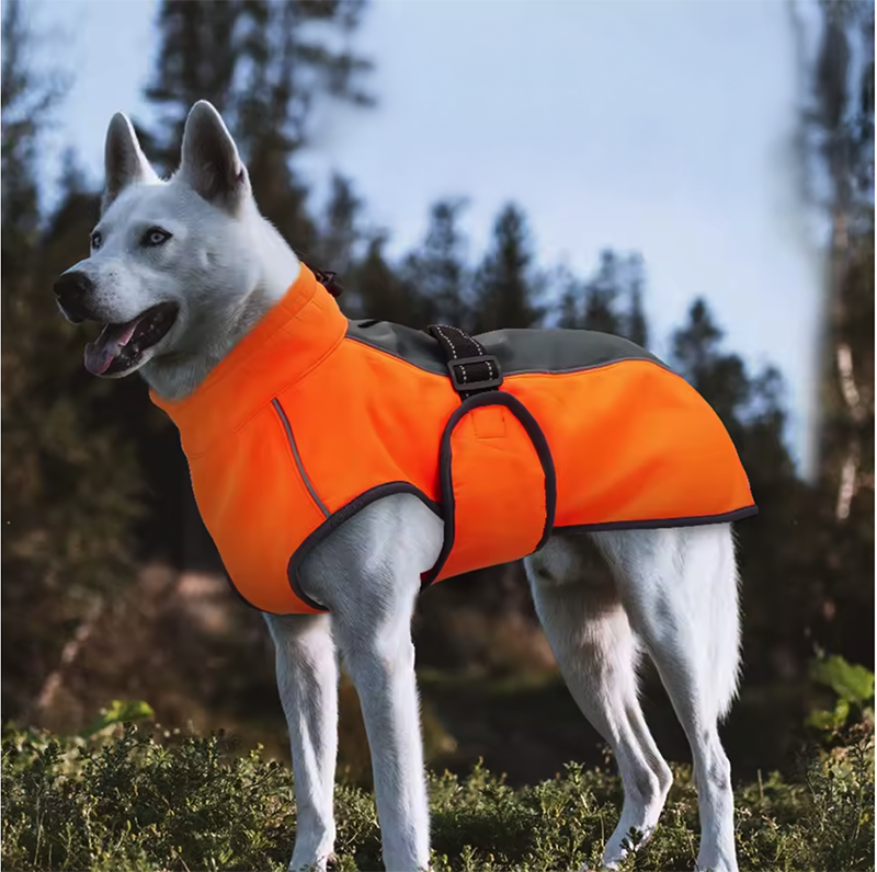 Manteau imperméable pour chiens – Orange_THELITTLEBOUTIQUE_4