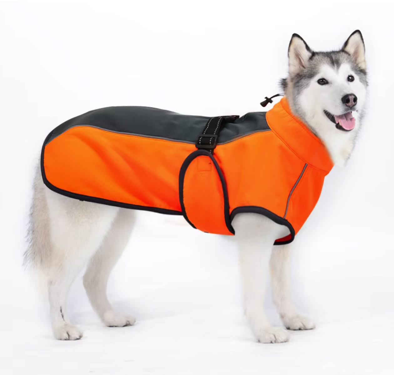 Manteau imperméable pour chiens – Orange - M au 3XL