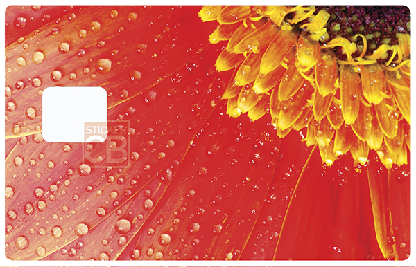flleur-margeurite-rouge-sticker-autocollant-carte-bancaire-stickercb-1