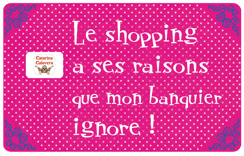 shopping-banquier-stickers-carte-bancaire-stickercb