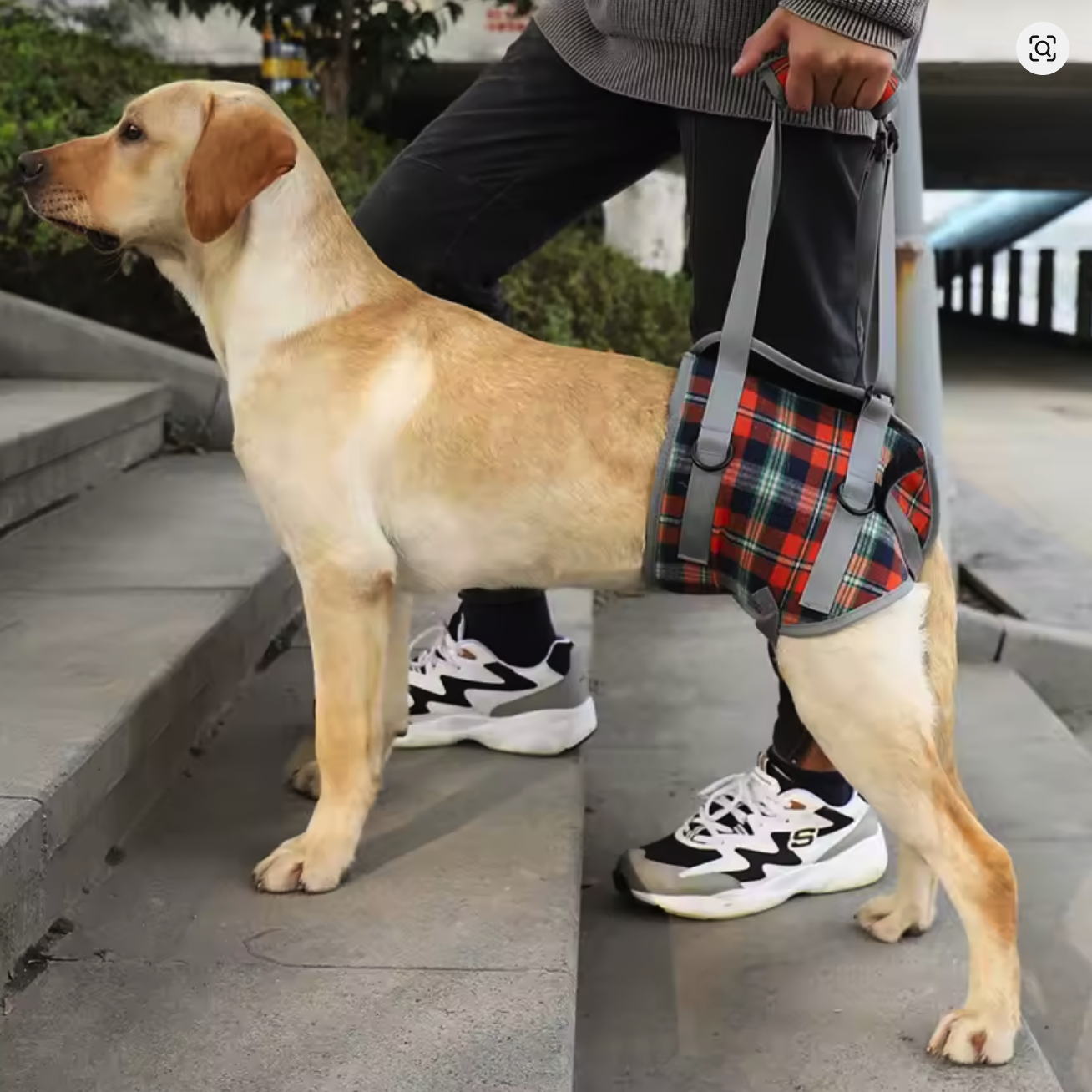 Harnais de soutien réglable pour chien –thelittleboutique