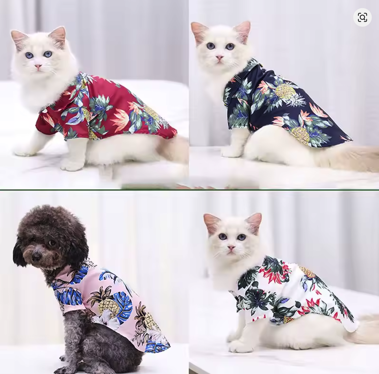 Chemise hawaïenne pour chien et chat – Légère, confortable et stylée