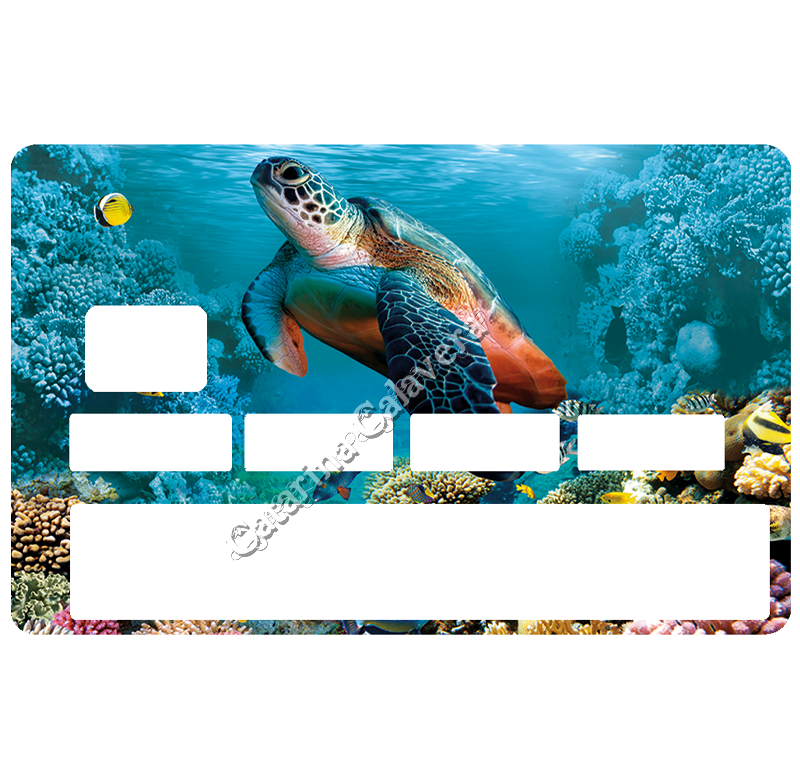 tortue-marine-the-little-boutique-sticker-carte-bancaire-stickercb