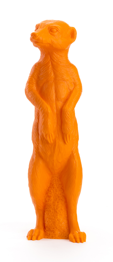 suricate-ottmar-horl-the-little-boutique-nice-_orange1_SJ_high