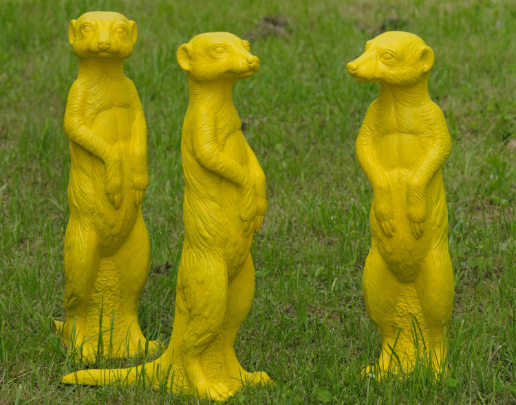 the-little-boutique-ottmar-horl-suricate-1