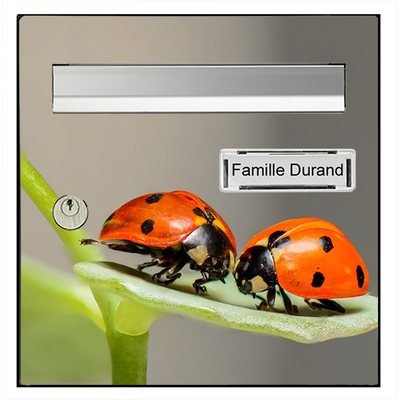 coccinelle-3-sticker-boite-aux-lettre-thelittleboutique