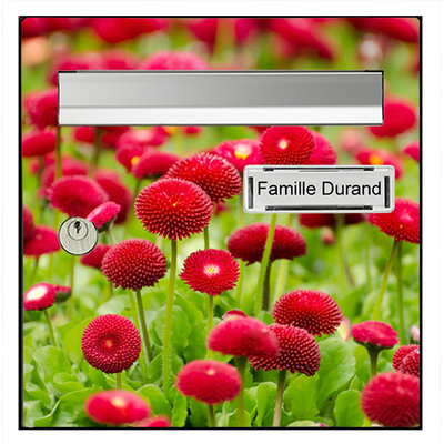 FLEURS-7-sticker-boite-aux-lettre-thelittleboutique