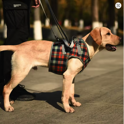 Harnais de soutien réglable pour chien –thelittleboutique-2