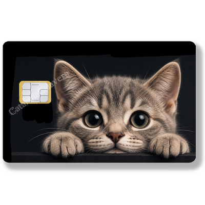 KITTEN_CHATON_STICKERS_CARTE_BANCAIRE_STICKERCB