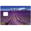 lavander-the-little-boutique-credit-card-sticker