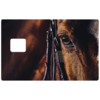 oeil-cheval-horse-stickercb-sticker-carte-bancaire-1