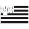 bretagne-breizh-usa-the-little-boutique-sticker-carte-bancaire-stickercb