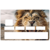 LION-sticker-carte-bancaire-stickercb_1