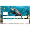tortue-marine-the-little-boutique-sticker-carte-bancaire-stickercb