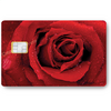 ROSE_ROUGE_CTARINACALAVERA_STICKERCB_2