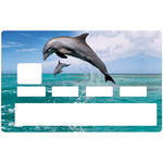 sticker-cb-dauphins-the-little-sticker