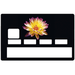 sticker-carte-bancaire-credit-card-stickers-fleur-noir