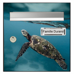 tortue-de-mer-1-sticker-boite-aux-lettre-thelittleboutique