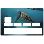 tortue-marine-stickercb-sticker-carte-bancaire-1