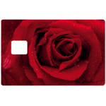 ROSE-RED-the-little-boutique-credit-card-sticker copie